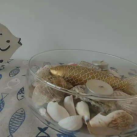 Santosha On The Pomorie