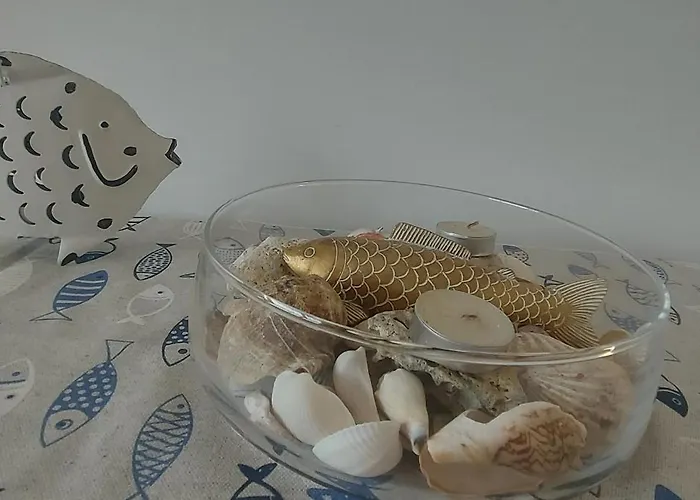 Santosha On The Поморие